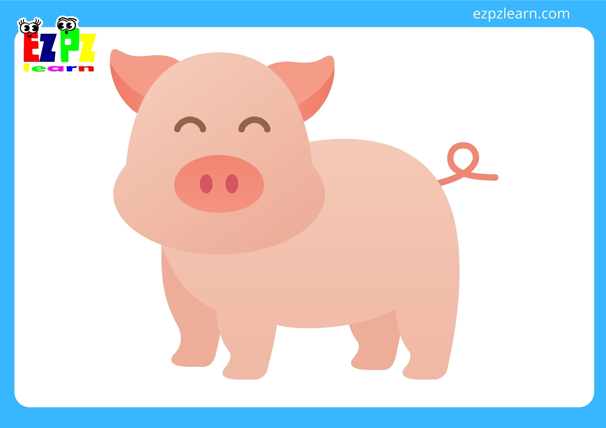 pig